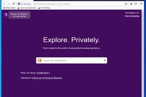 Download Tor Browser for Windows, macOS, Linux and Android