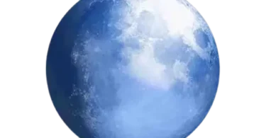 Download Pale Moon for Windows, macOS and Linux