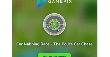 Car Nabbing Race – The Police Car Chase